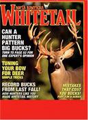 North American Whitetail
